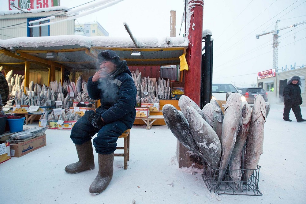 أسماك متجمدة في سوق ياكوتسك 