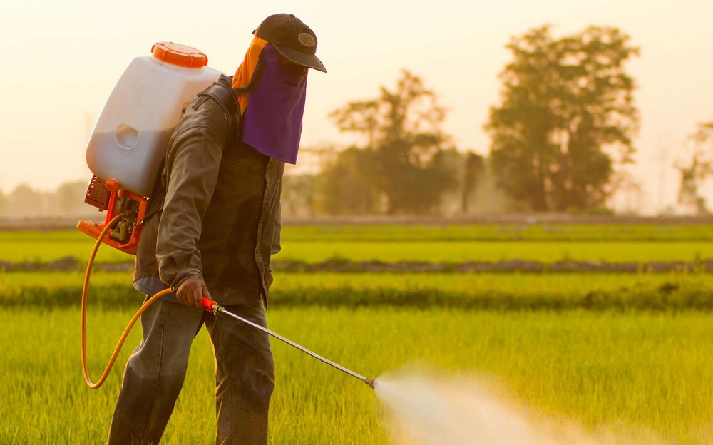 المبيدات تمثل مشكلة للعمال الزراعيين