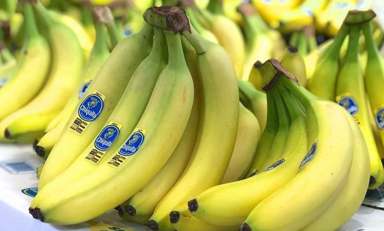 باحثون يحذرون.. هذه الدول ستختفي فيها أشجار الموز!
