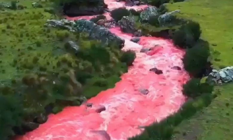 ما السر وراء هذا اللون الوردي لنهر كوسكو؟
