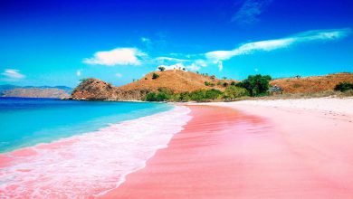 ما سبب اللون الوردي لشاطئ كومودو بأندونيسيا؟
