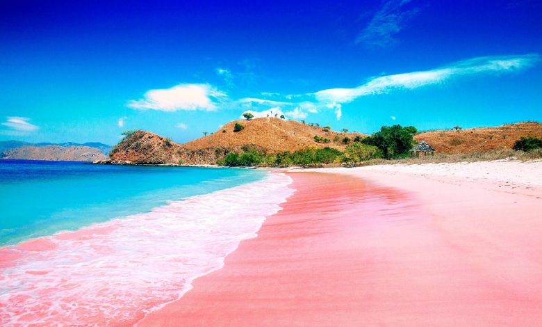 ما سبب اللون الوردي لشاطئ كومودو بأندونيسيا؟