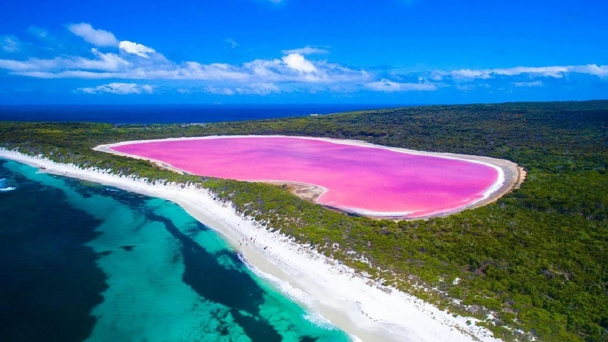 ما سبب اللون الزهري لبحيرة “هيلير” في أستراليا؟