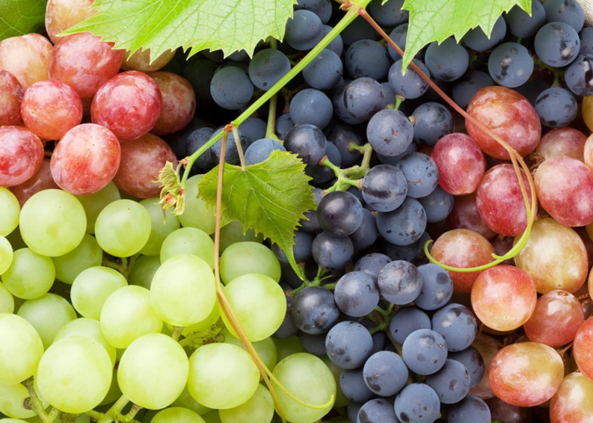 ماذا يحدث عند الإفراط في تناول العنب؟