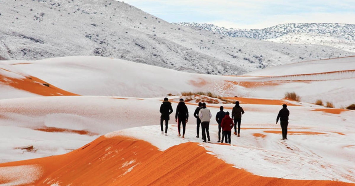 الصحراء الجزائرية تترصع بالجليد في مشهد فريد من نوعه !